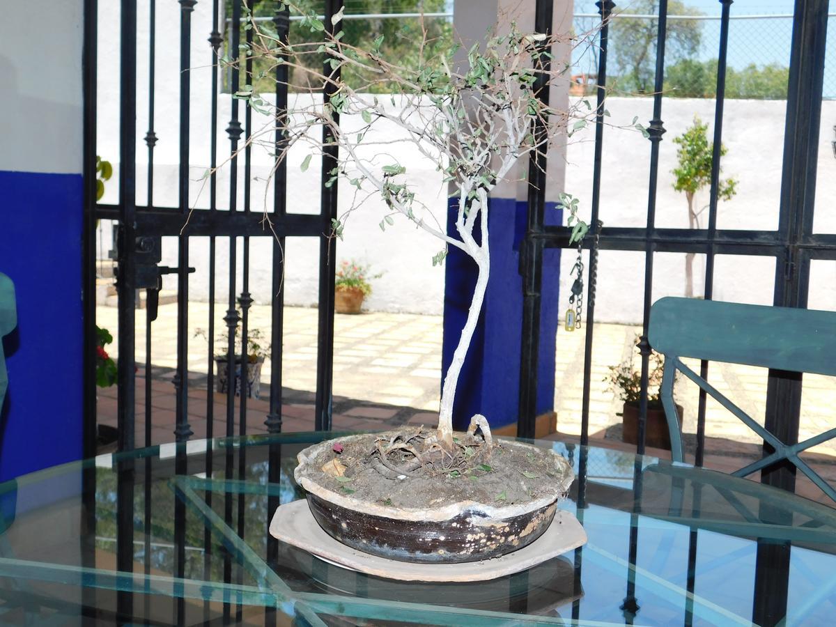 Casa Erizo 39 (Adults Only) Hotel Guanajuato Luaran gambar