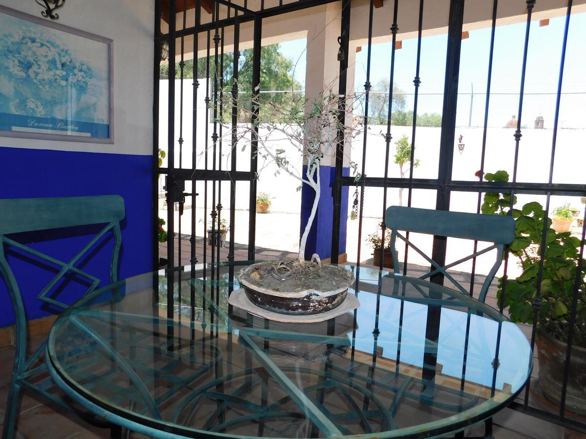 Casa Erizo 39 (Adults Only) Hotel Guanajuato Luaran gambar